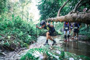 BIB: 
                            <button type="button" onclick="openModal(25444152)" class="btn btn-primary btn-sm float-right btn-popup" data-toggle="modal" data-target=".modal-high-quality">
                        <i class="fas fa-shopping-cart"></i> Add to Cart
                    </button>
                                            <button type="button" onclick="isThisMe(25444152, true)" class="btn btn-success btn-sm float-right btn-popup btn-isme hidden" data-toggle="tooltip" data-placement="bottom" title="นี่คือรูปของคุณใช่ไหม คลิกที่นี่เพื่อเอาเข้าอัลบั้ม">
                        <i class="fas fa-plus"></i> Add to album
                    </button>
                    <button type="button" onclick="isThisMe(25444152, false)" class="btn btn-warning btn-sm float-right btn-popup btn-isnotme hidden">
                        <i class="fas fa-ban"></i> Remove from album
                    </button>